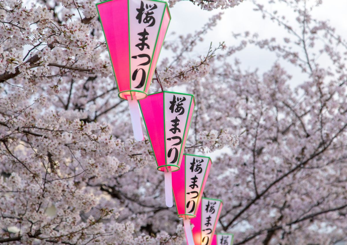 Lantaarnen en kersenbloesems