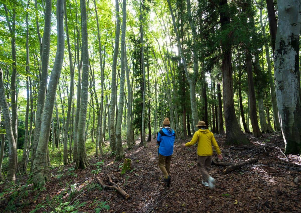 Twee wandelaars tijdens een bosbad in Japan