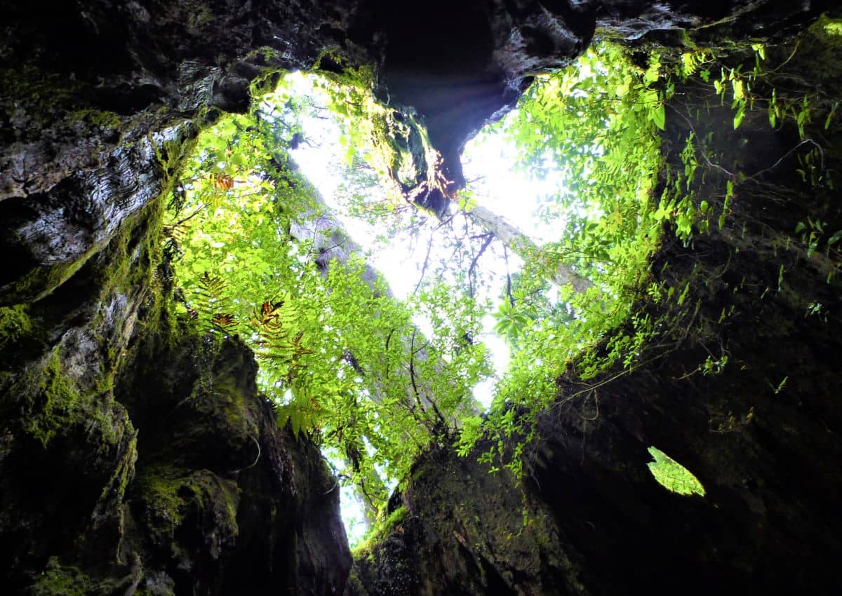 Grot met hartvormige opening op Yakushima, Japan