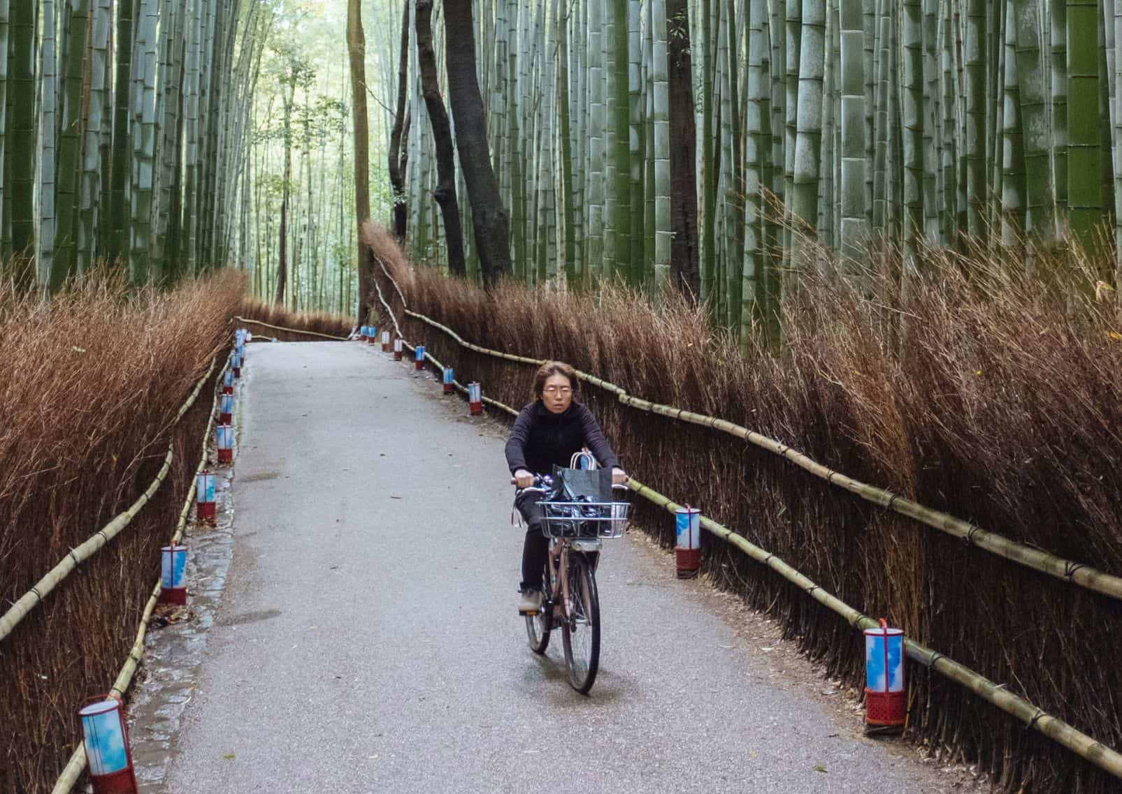 Vrouw fietst in het bamboebos van Arashiyama, Kyoto, Japan.