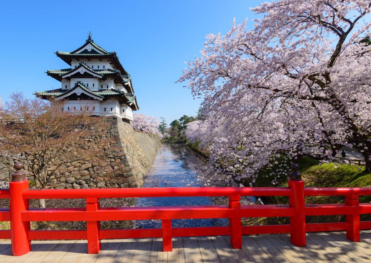 Kasteel Hirosaki tijdens het kersenbloesemseizoen in Aomori, Japan.