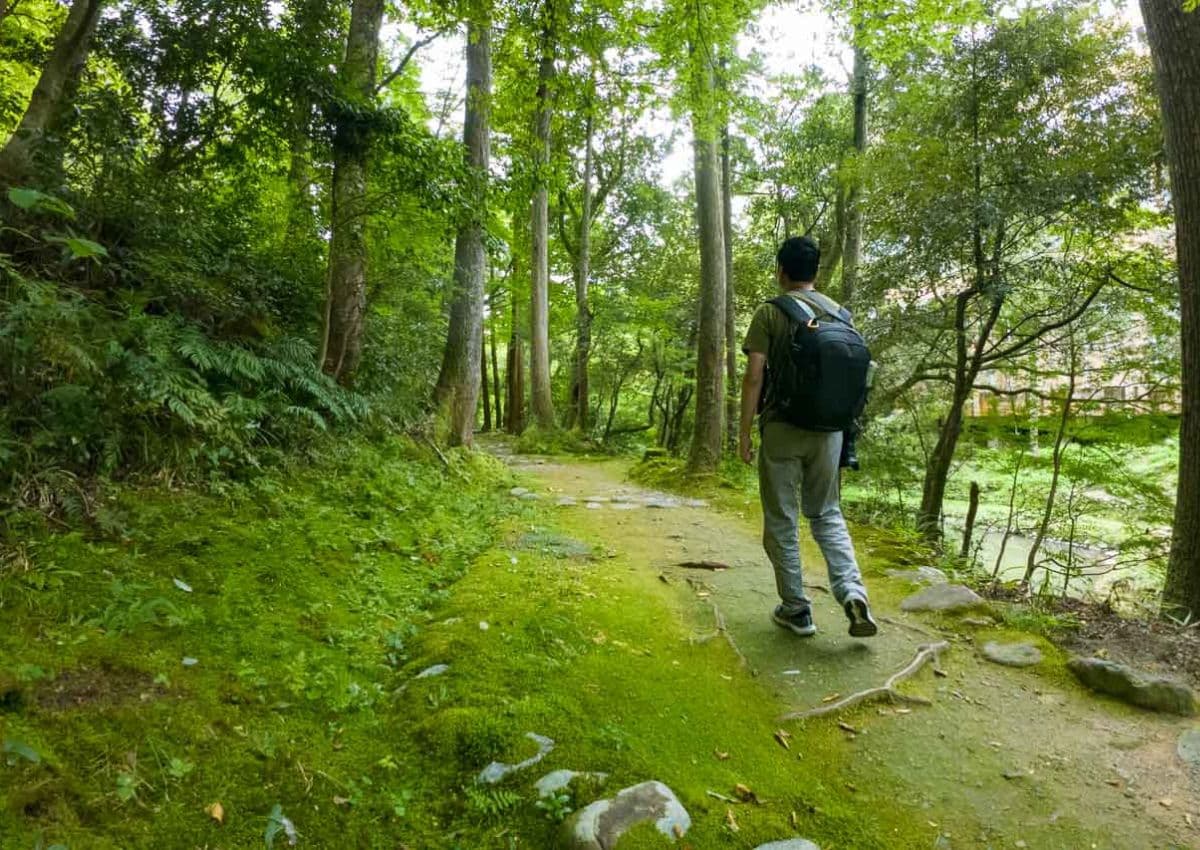 Wandelaar tijdens een bosbad in Japan