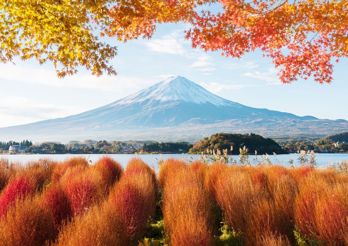 Herfstbladeren rondom Mount Fuji