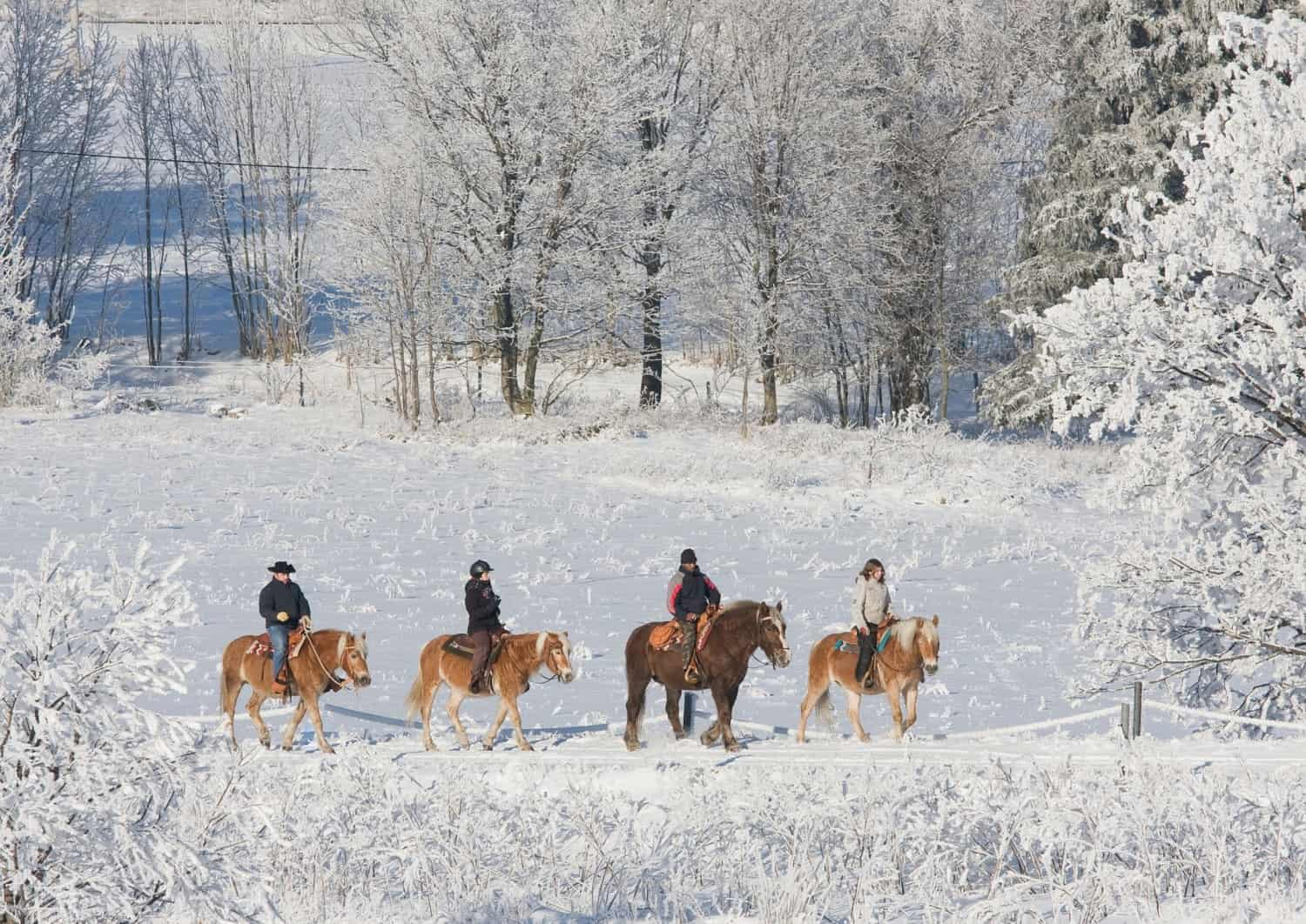 Paardrijden in de sneeuw.