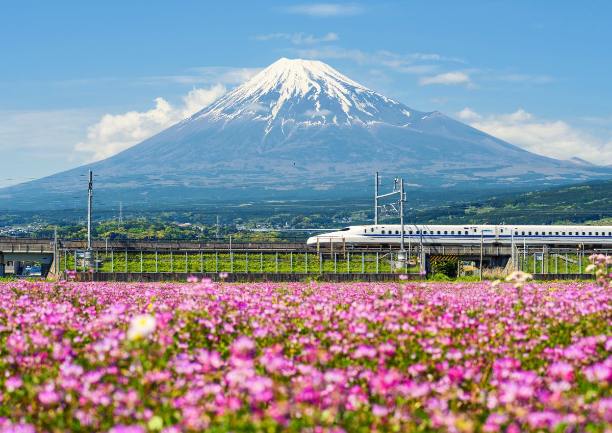 Trein rijdt langs de berg Fuji in de lente