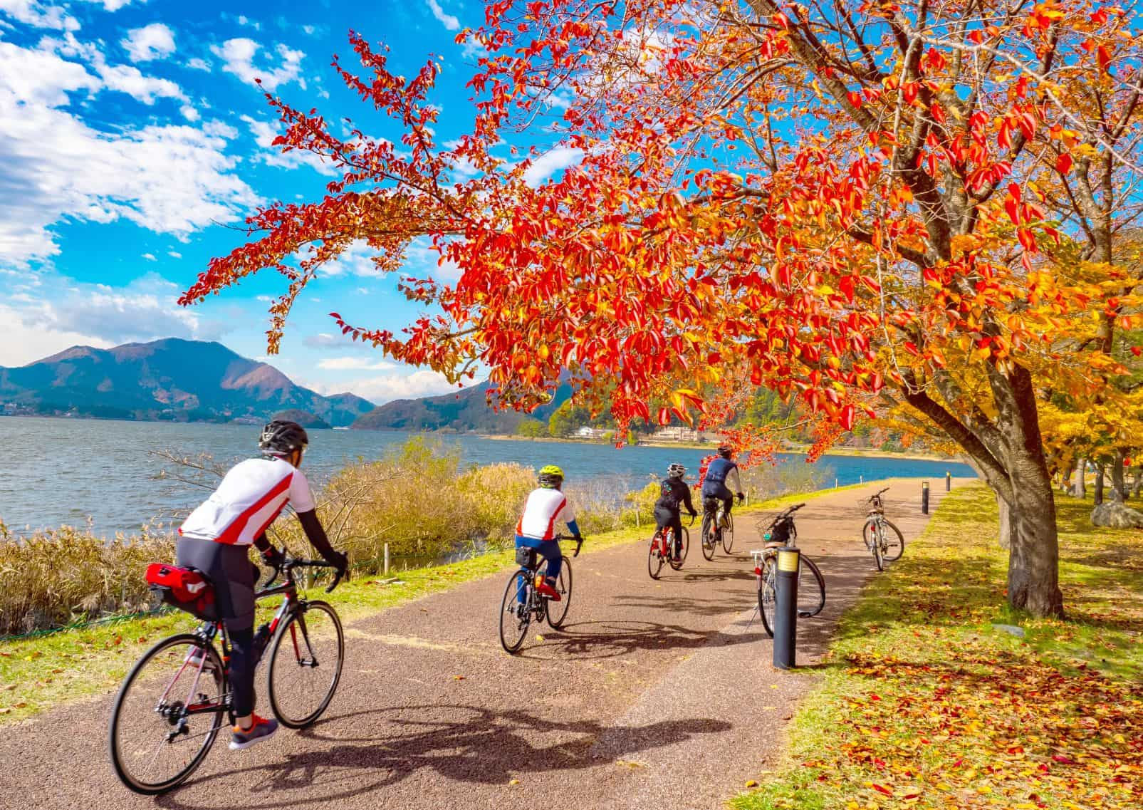 Groep fietsers in de herfst, Kawaguchi-meer, Japan.