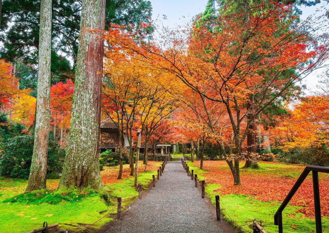 Het dorp Ohara tijdens de herfst