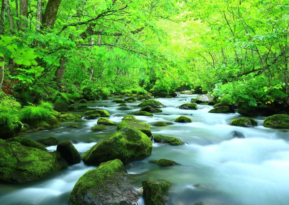 De Oirase-kloof in de zomer, Aomori, Japan.