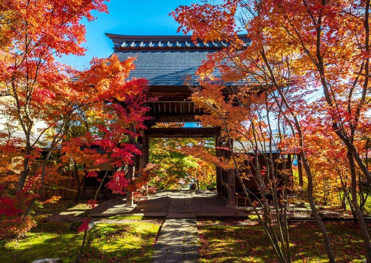 Herfstbladeren in Japan rond een tempelpoort