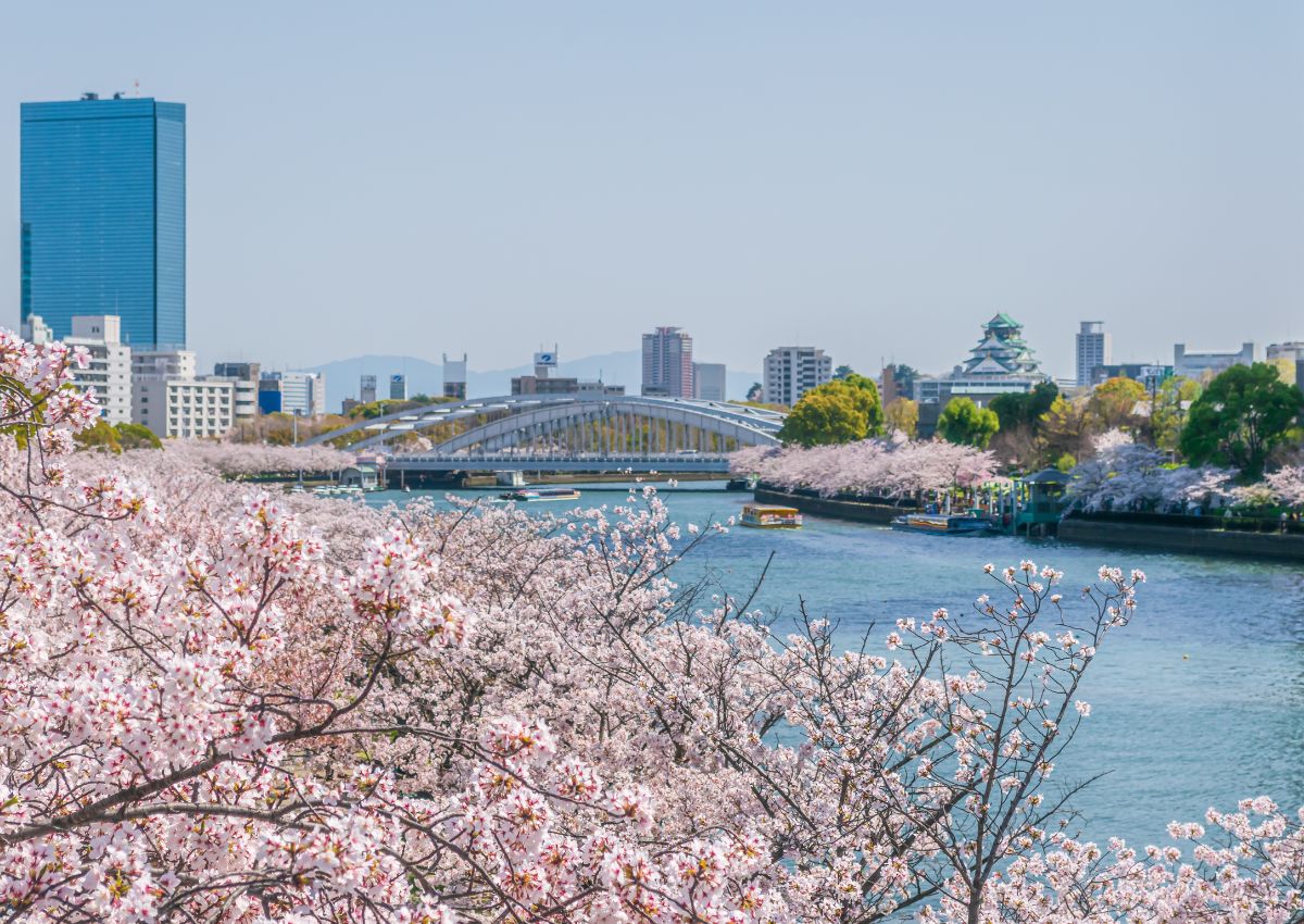 Kersenbloesems rondom de Okawa-rivier, Osaka, Japan
