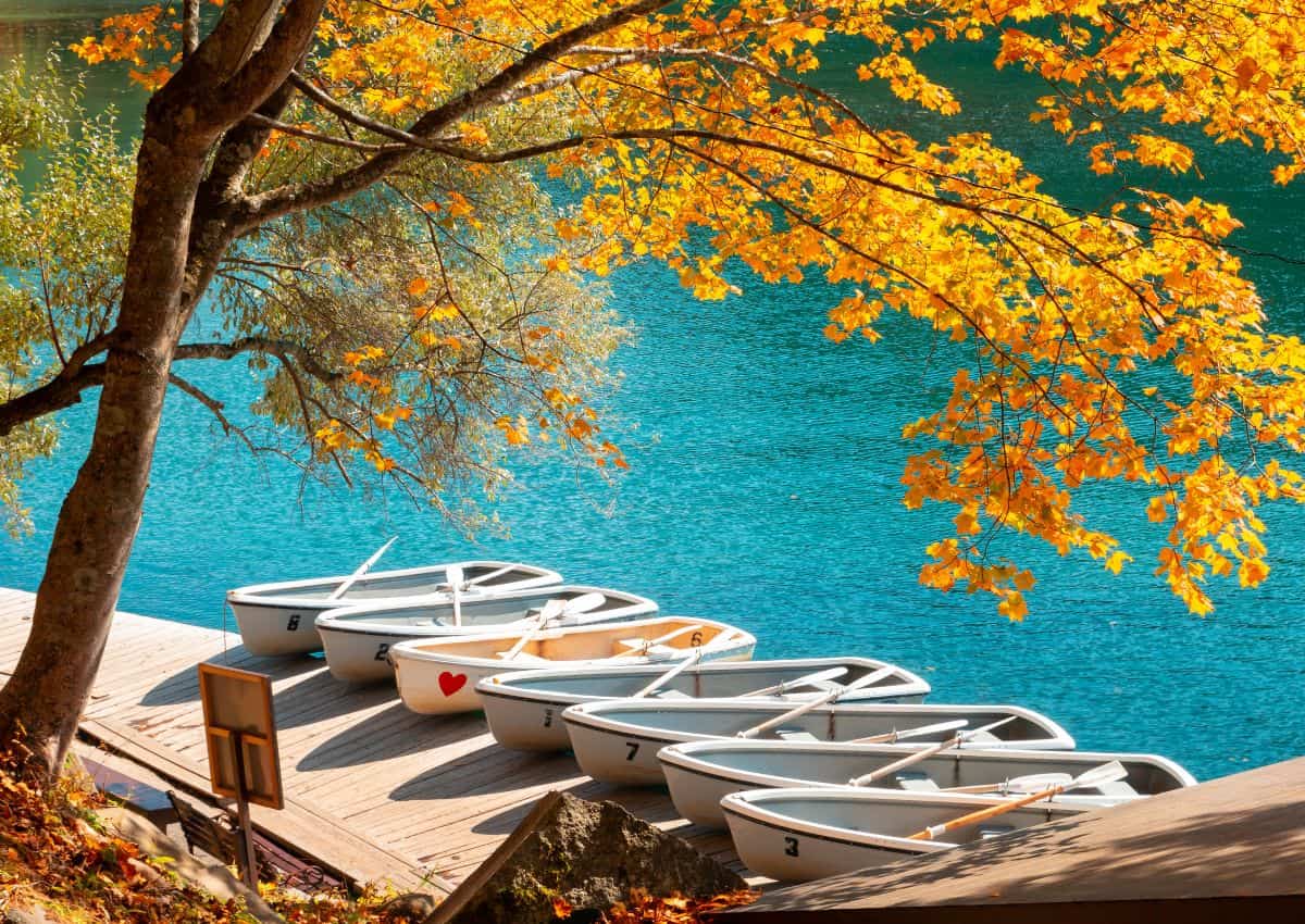 Herfstbladeren bij de Goshikinuma-vijvers, Fukushima, Japan.