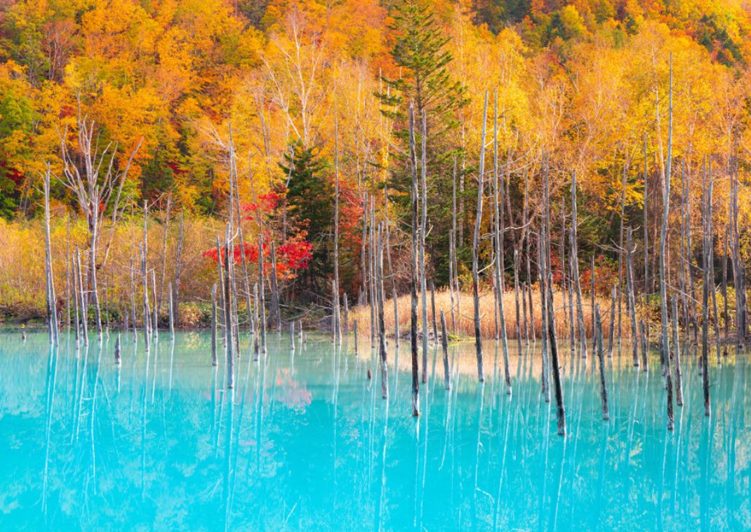 Blauwe vijver in Hokkaido in de herfst, Japan