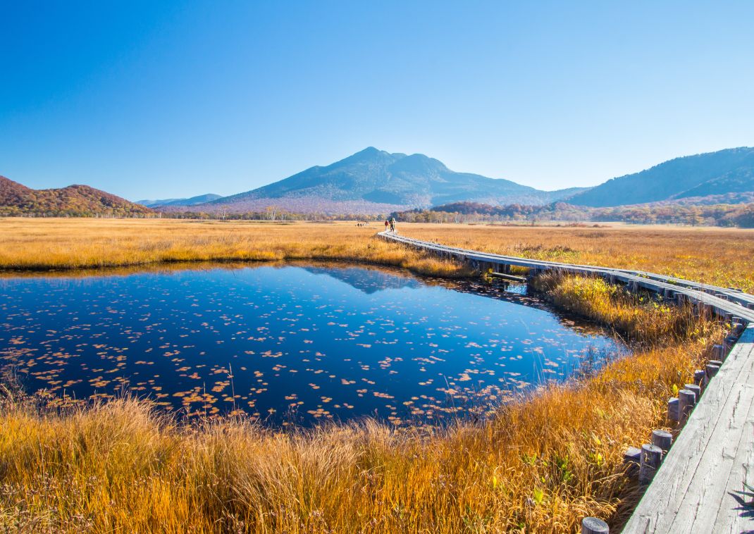 Prachtig pad in Oze National Park, Japan