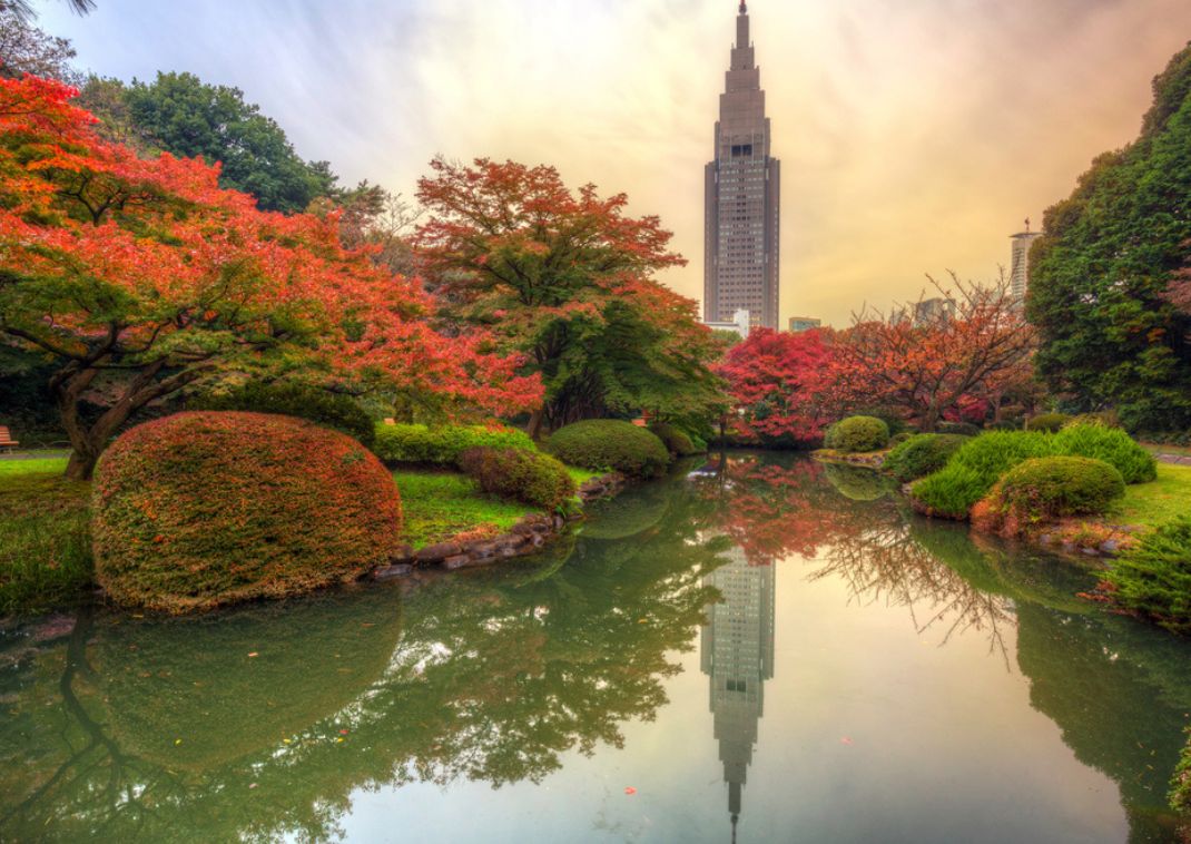 Shinjuku Gyoen Park, Tokio, Japan