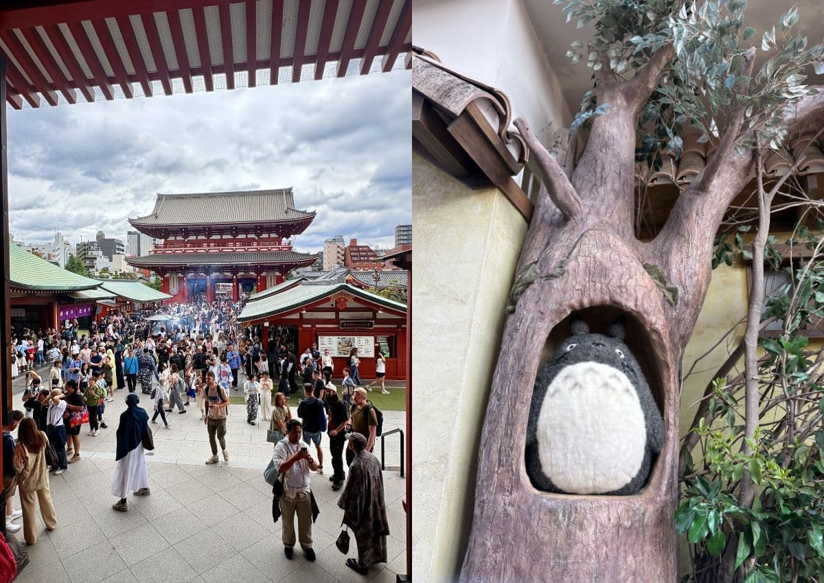 Links, de Senso-ji tempel in Asakusa. Rechts, een pluchen Totoro van Ghibli