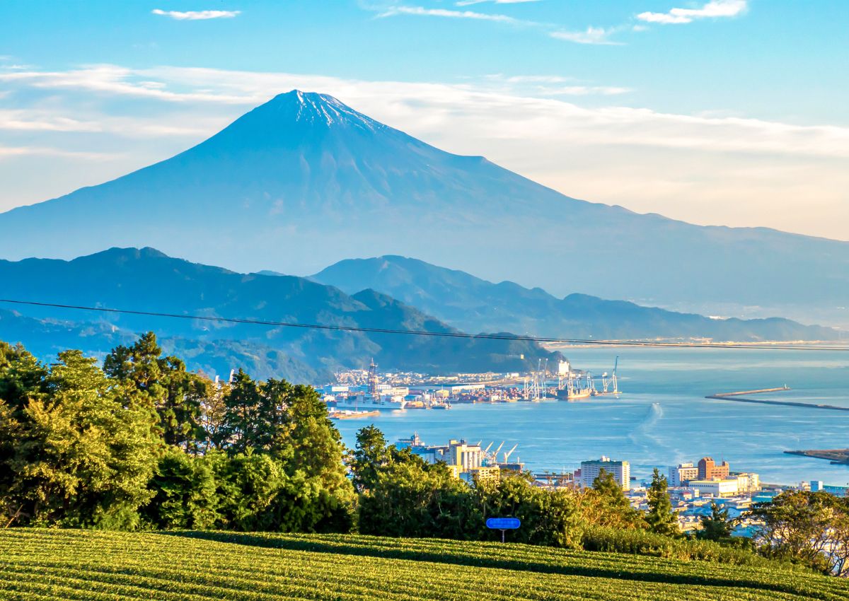 Zicht op de berg Fuji met theevelden, Shizuoka, Japan.