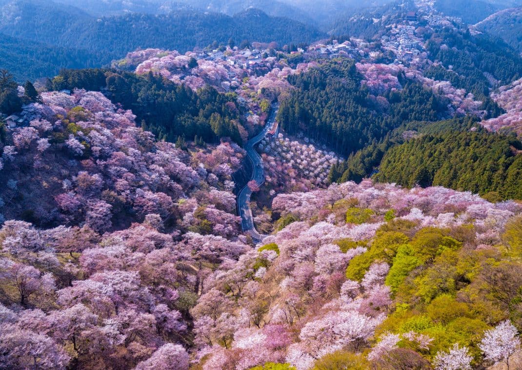 Yoshino gebergte, Japan