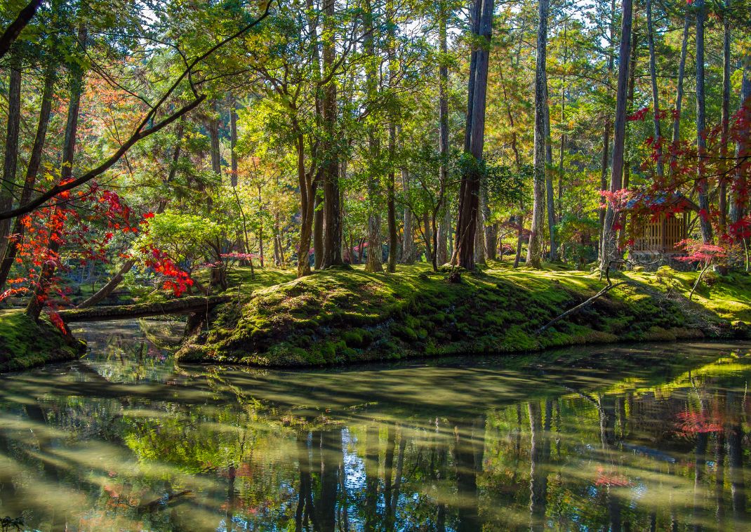 Koke-dera (mostempel) (Kyoto)