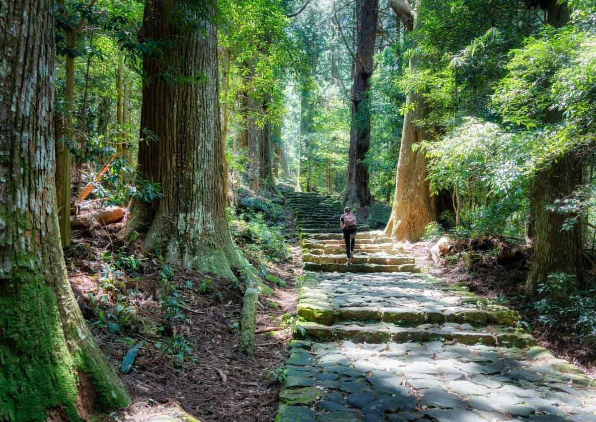 Pad van de Kumano Kodo
