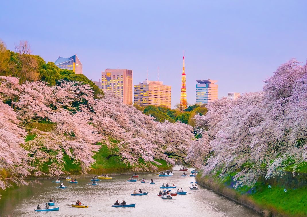 Ueno Park in de lente, Tokyo, Japan