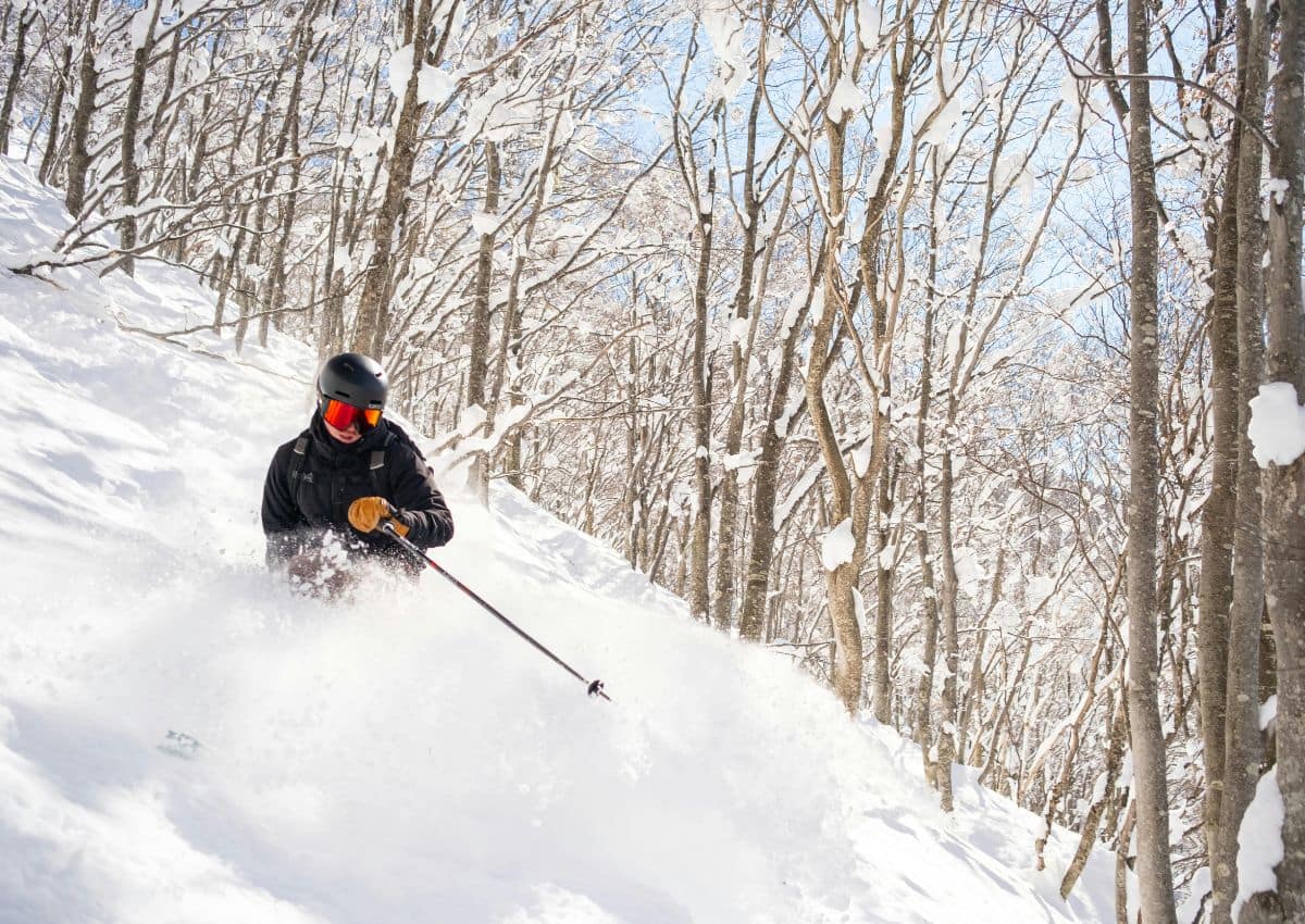 Bomenskiën in het skiresort Tsugaike Kogen, Hakuba, Japan