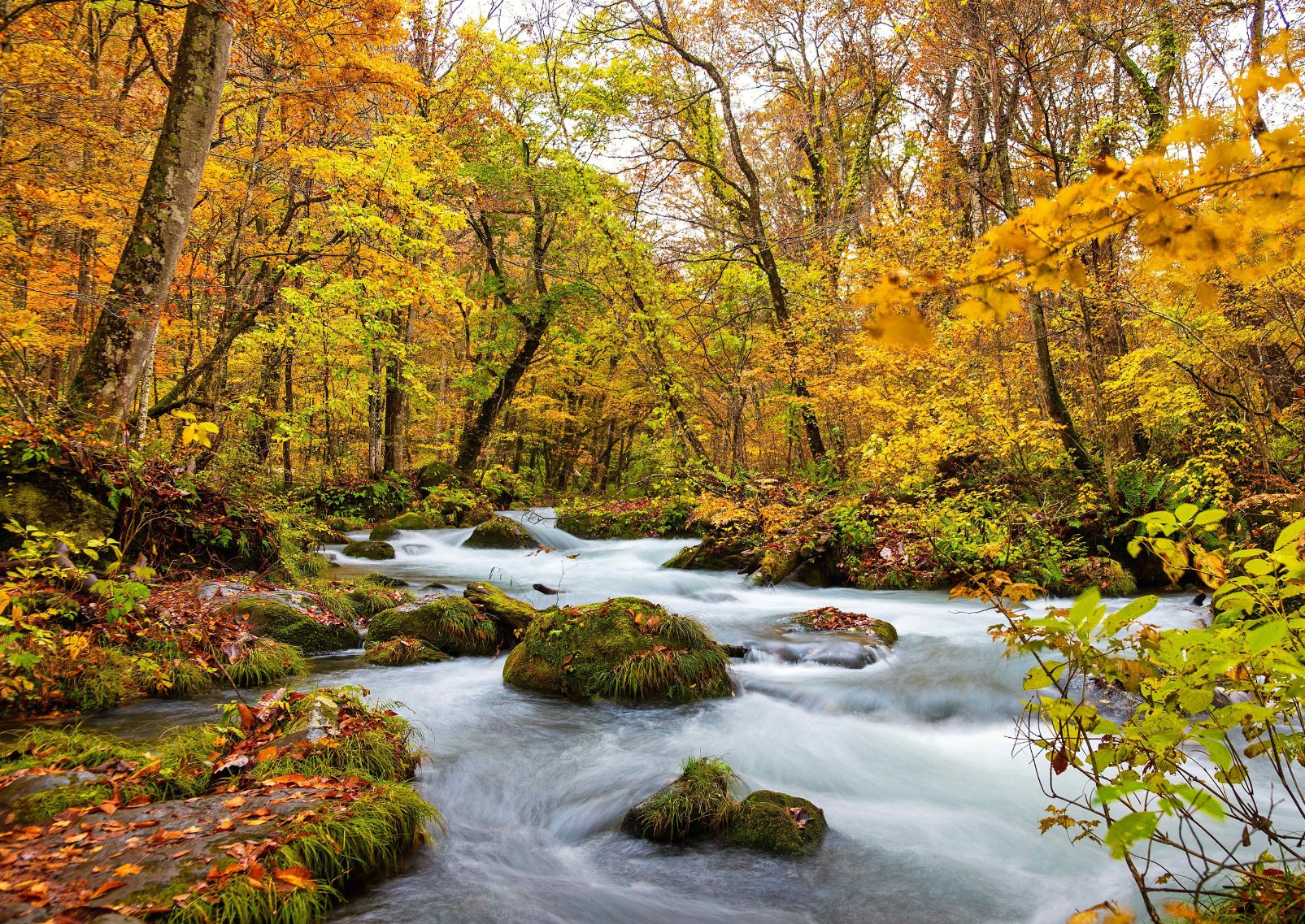 De prachtige herfstscène van de waterval in de beek Oirase, Towada, Japan