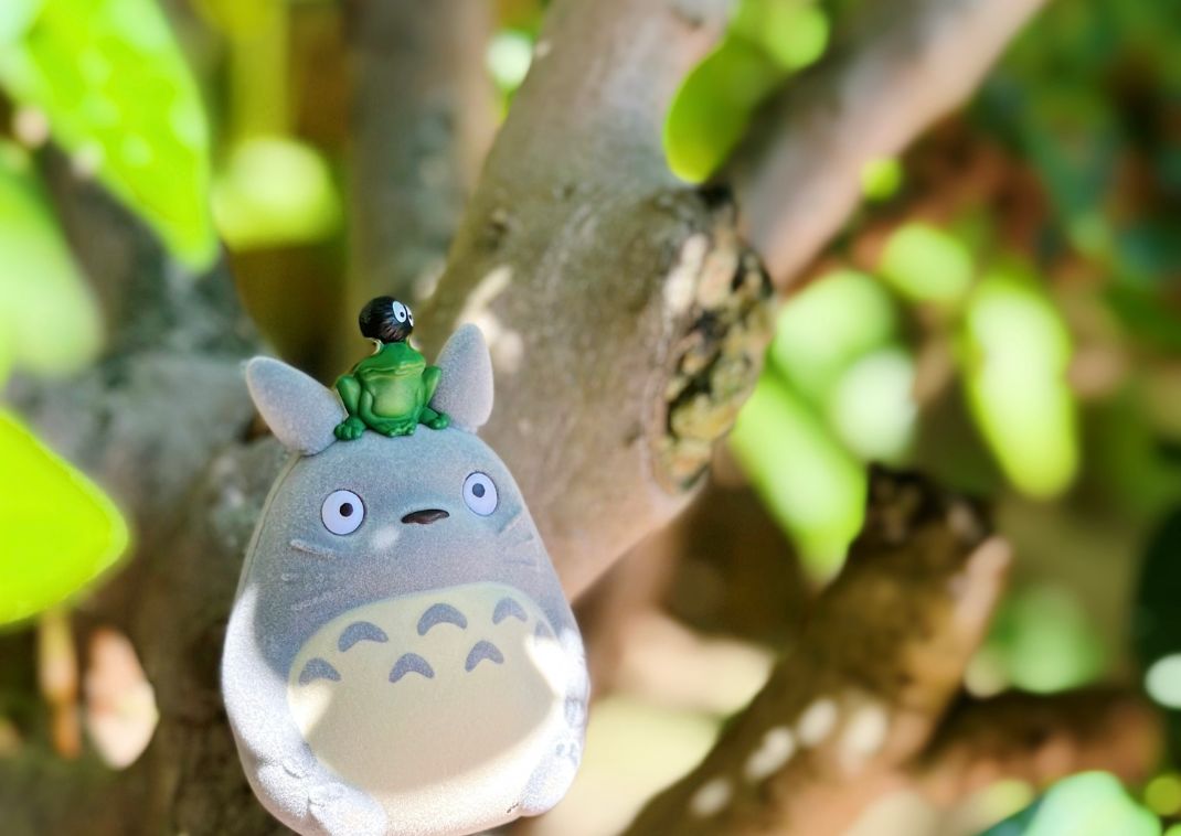 Schattige pluche knuffel van Totoro.