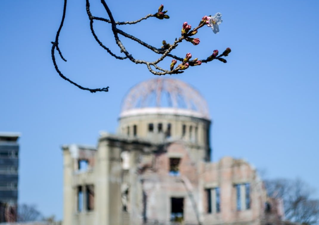 De eerste kersenbloesem in het Peace Park met het Atomic Bomb Dome vredesmonument op de achtergrond in Hiroshima, Japan.