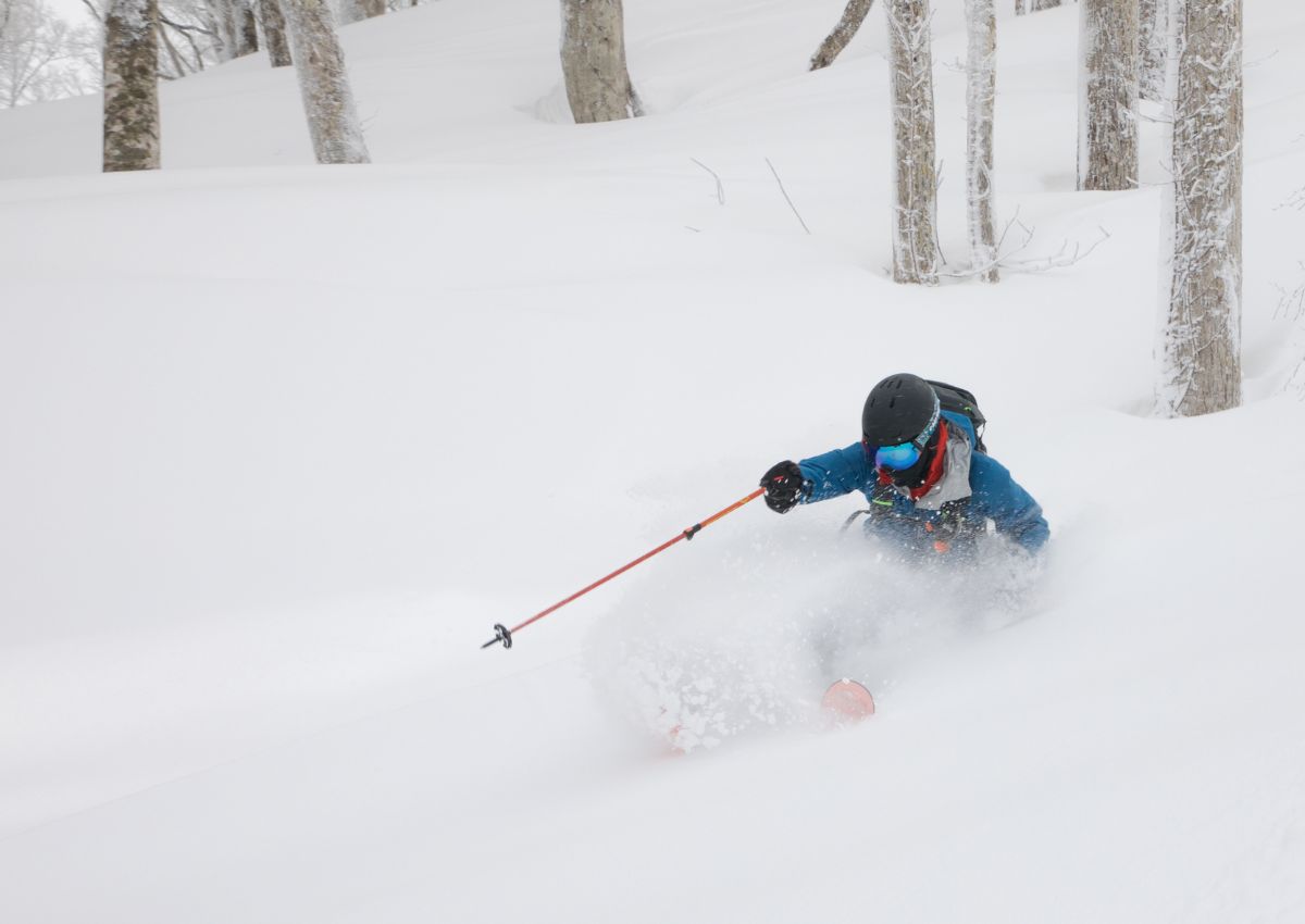 Skiën in poedersneeuw in het skigebied Hakuba, Japan