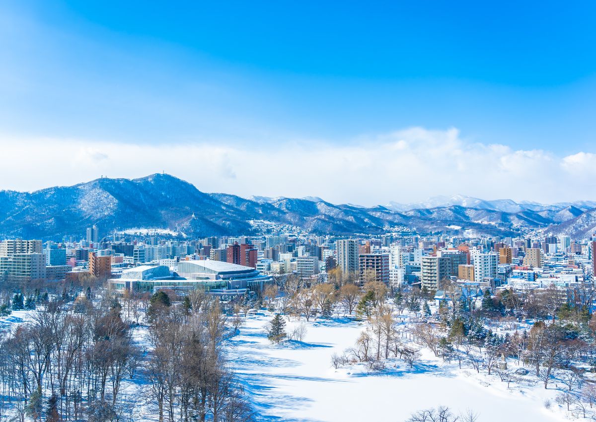 Sneeuwlandschap in Hokkaido, in het noorden van Japan