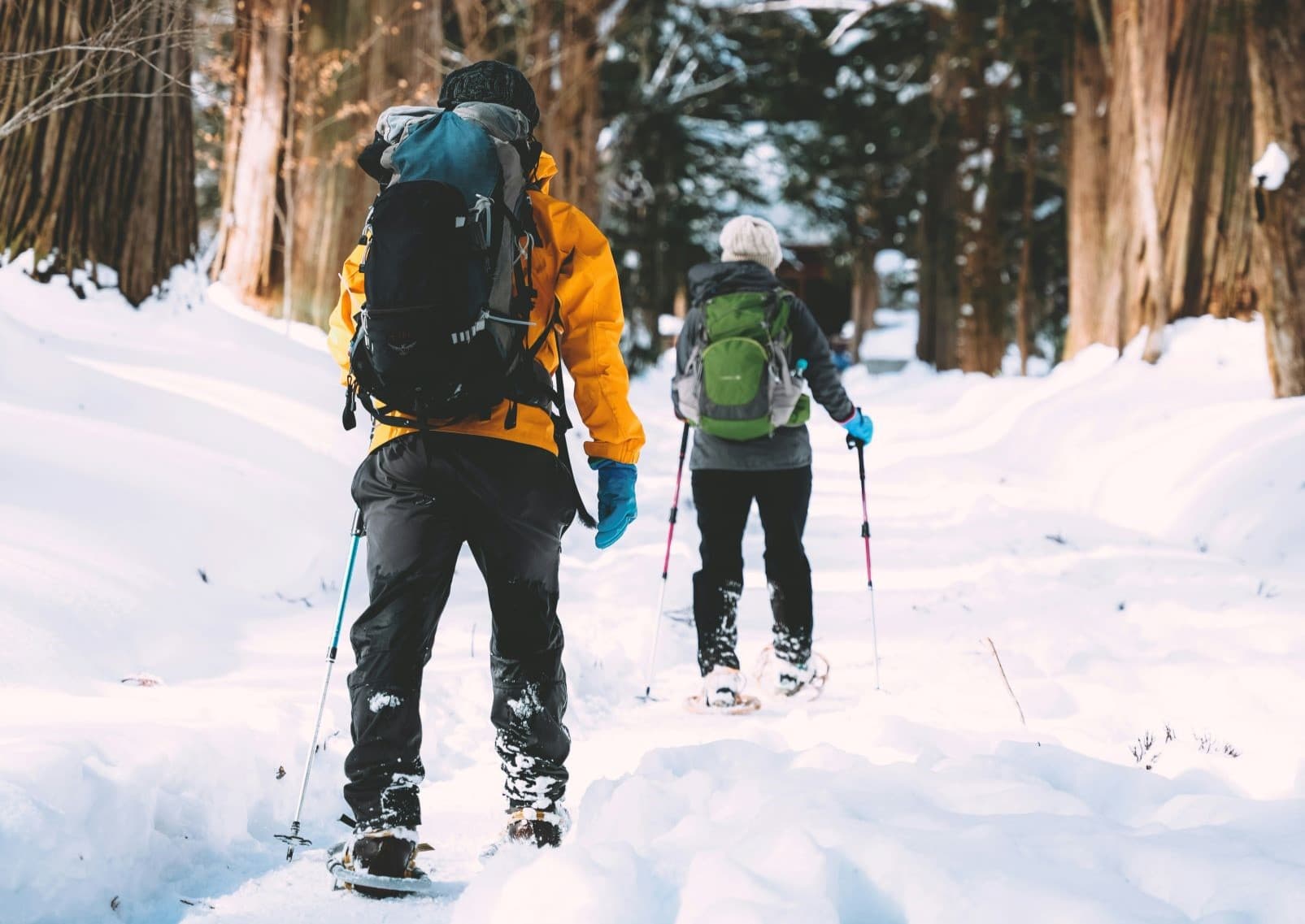 Sneeuwschoenwandelen in Nagano