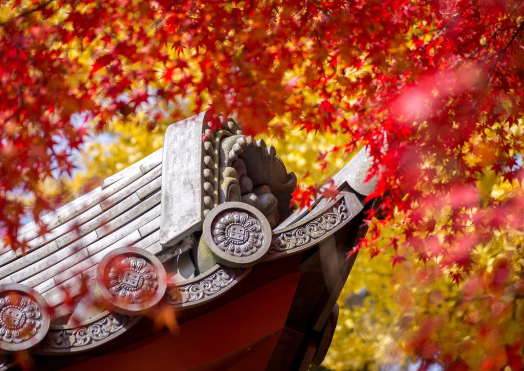 Boot op de Katsura-rivier in de herfst in Kyoto, Japan