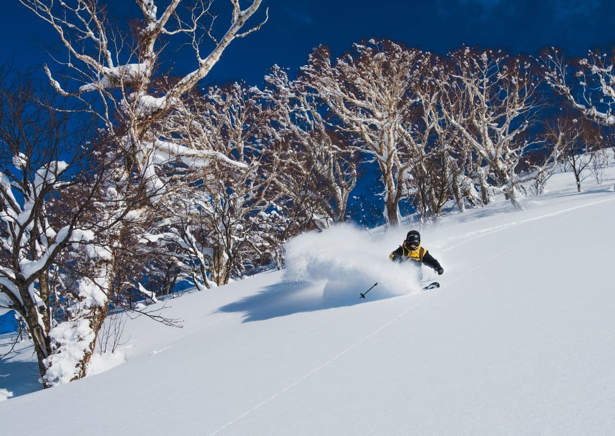 Vrij skiën tussen de bomen in Geto Kogen