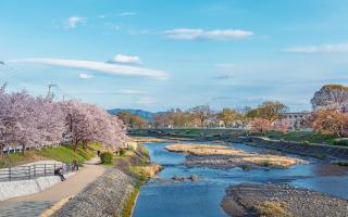 Kamogawa riverside