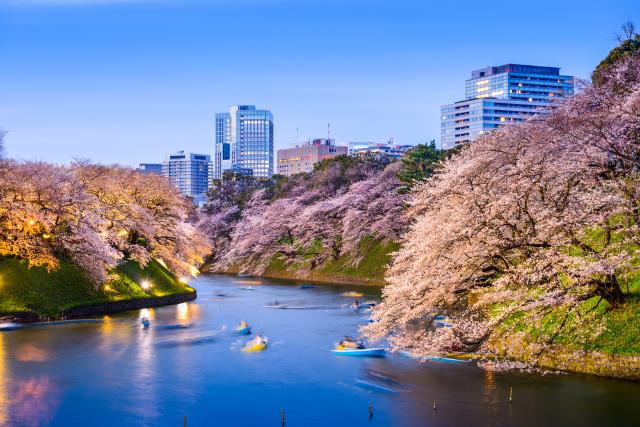 Chidorigafuchi slotgracht bij het keizerlijk paleis in Tokio, Japan 