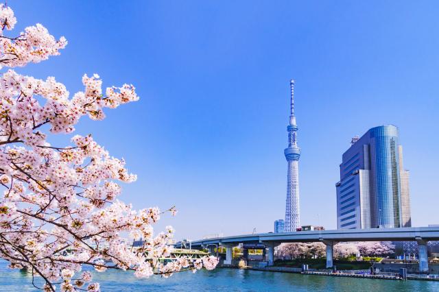 De lentekant van Tokio, Japan 