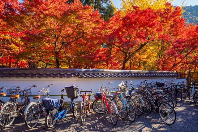 Fietsen in Kyoto 