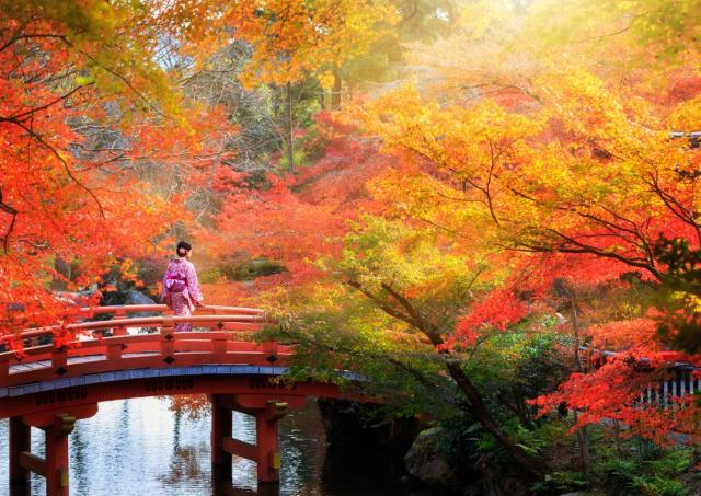 Dame in kimono loopt over een rode brug in Japan in de herfst