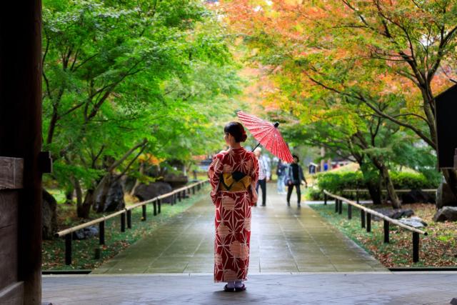 Japanse vrouw in een rode kimono met paraplu, ontspannen wandelend door een openbaar park met herfstbladeren in Japan