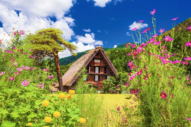 Traditionele boerderijen in de zomer, Shirakawago