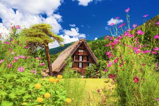 Traditionele boerderijen in de zomer, Shirakawago