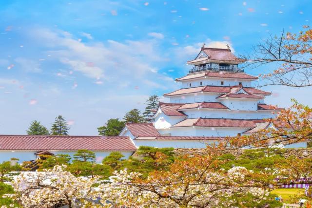Kasteel Aizu-Wakamatsu