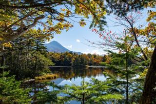 Gokomeren, nationaal park Shiretoko