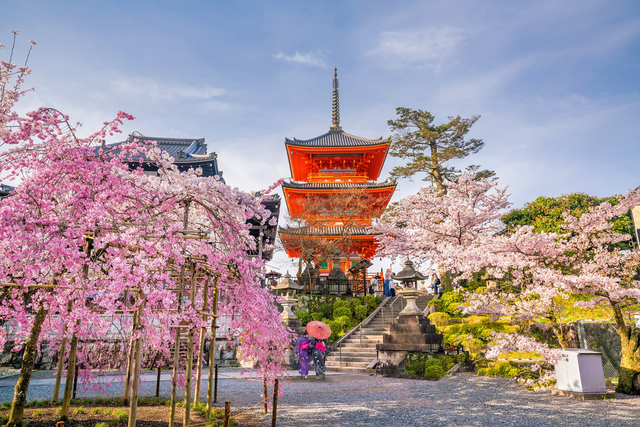 De Kiyomizu-dera-tempel te midden van de bloeiende sakura in Kyoto, Japan