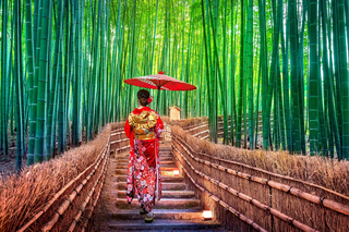Het bamboebos van Kyoto, Japan