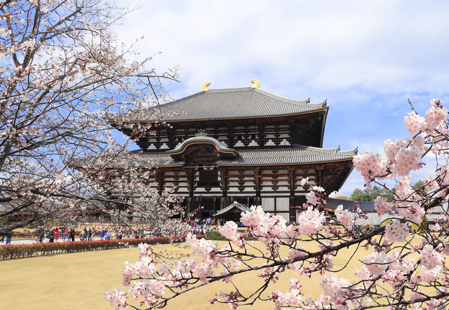Todaiji tempel, Nara