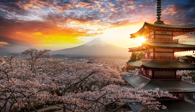 Kasteel van Osaka omring door bloeiende kersenbomen, met op de achtergrond Mt. Fuji, Japan