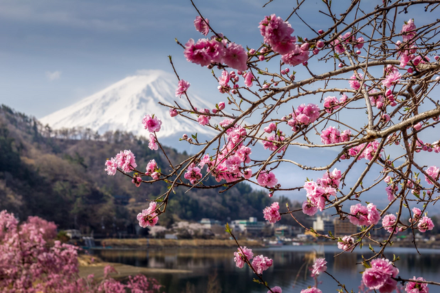 Mt. Fuji bij het Ashi-meer, Hakone, Japan