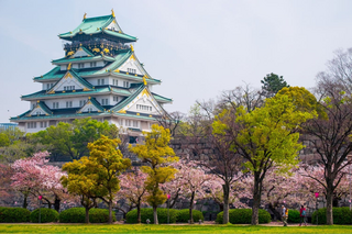 Kasteel van Osaka