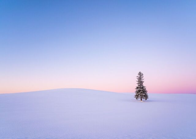 Uitzicht op heuvel in de regio Biei in de winter, Hokkaido